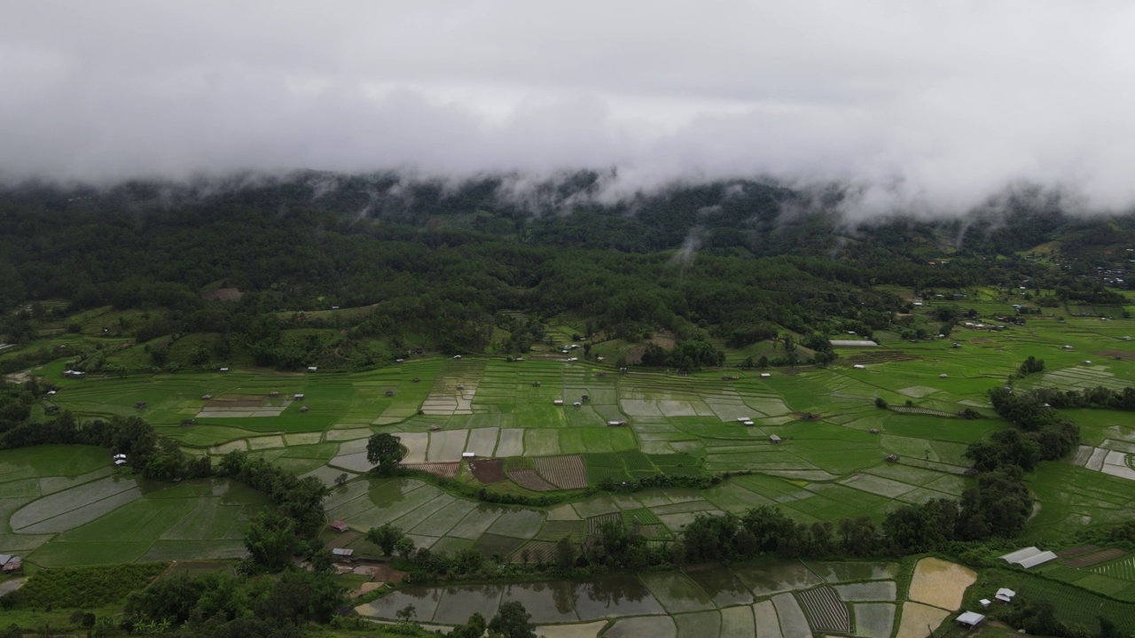 泰国清迈有机稻田无人机视频素材