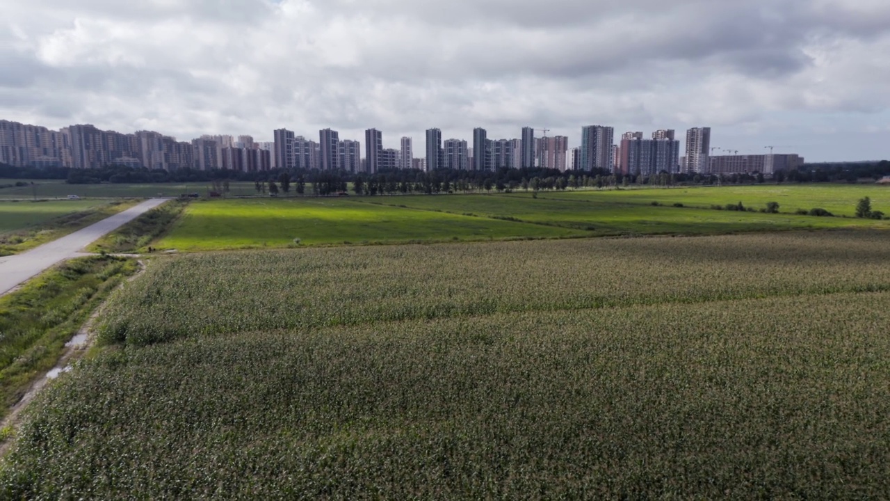 全景旋转的领域和遥远的城市鸟瞰图视频下载