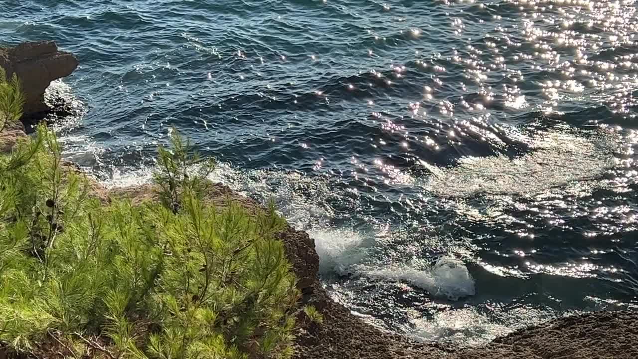 灿烂的海浪冲刷着长满松树的岩石海岸。视频素材