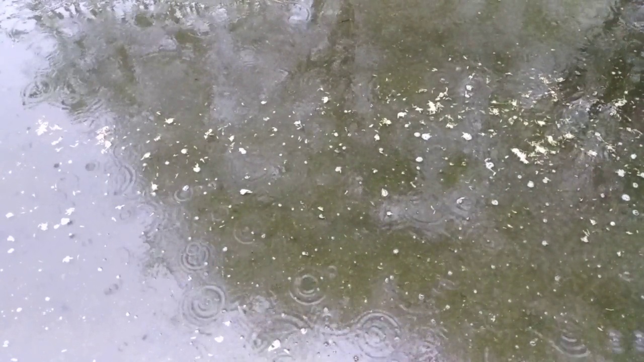 雨点落在水坑的水面上视频素材