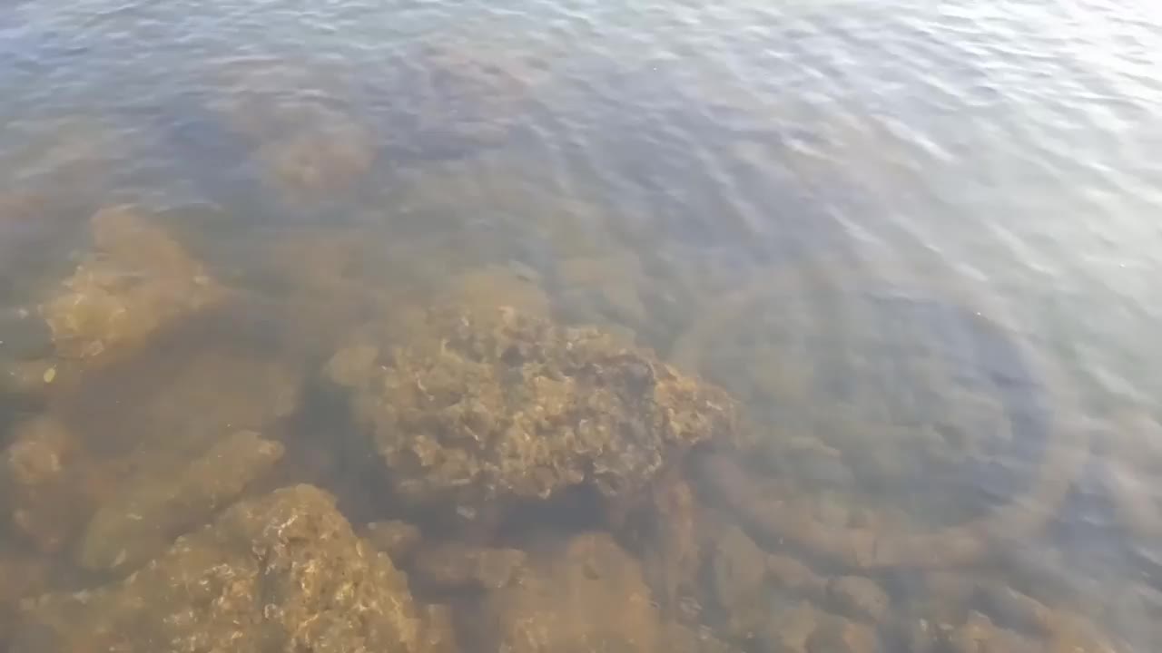 河水平静地流动，里面有青苔状的岩石视频下载