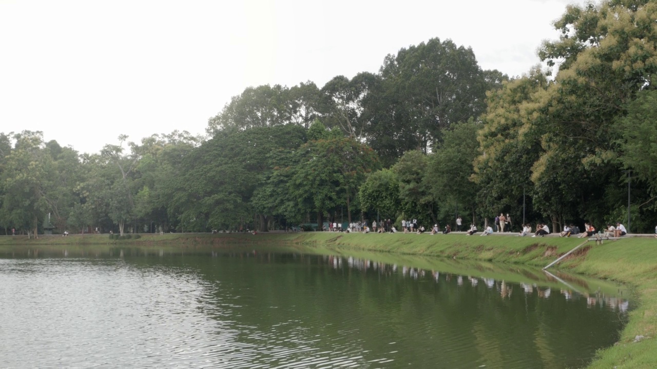 水库湖自然绿景，公园绿树成荫，自然雨季景观视频素材