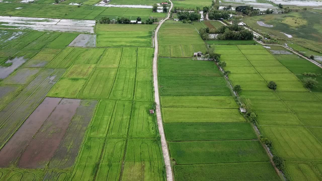 鸟瞰穿越泰国清莱省农村地区稻田的乡村道路。视频素材