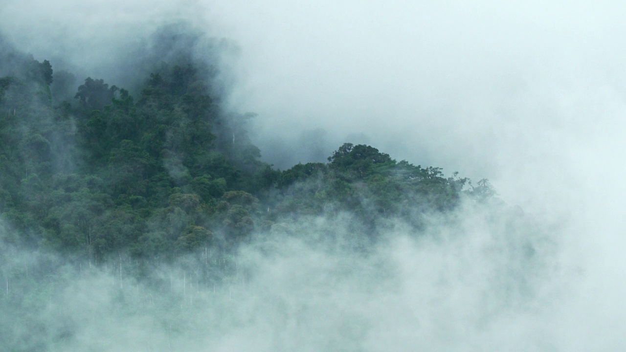 厄瓜多尔的安第斯山脉雾蒙蒙的景色，雾之上的绿色雨林，风景摄影，层状火山。山区恶劣的多雨多风天气。雾在山上移动视频素材