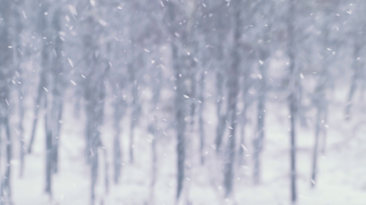 降雪的特写。冬天的暴风雪。雪花落在散景背景上。视频素材