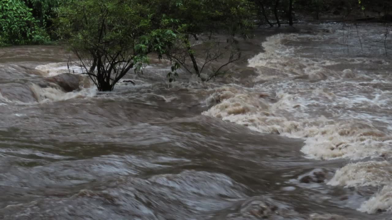 小溪的水在泥泞泛滥的河流视频素材