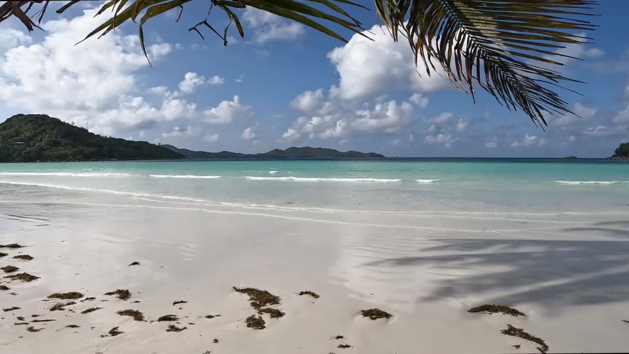 塞舌尔的风景海滩海视频素材