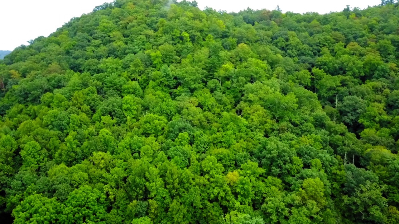 空中向前拍摄的山上的绿树-阿什维尔，北卡罗来纳州视频素材