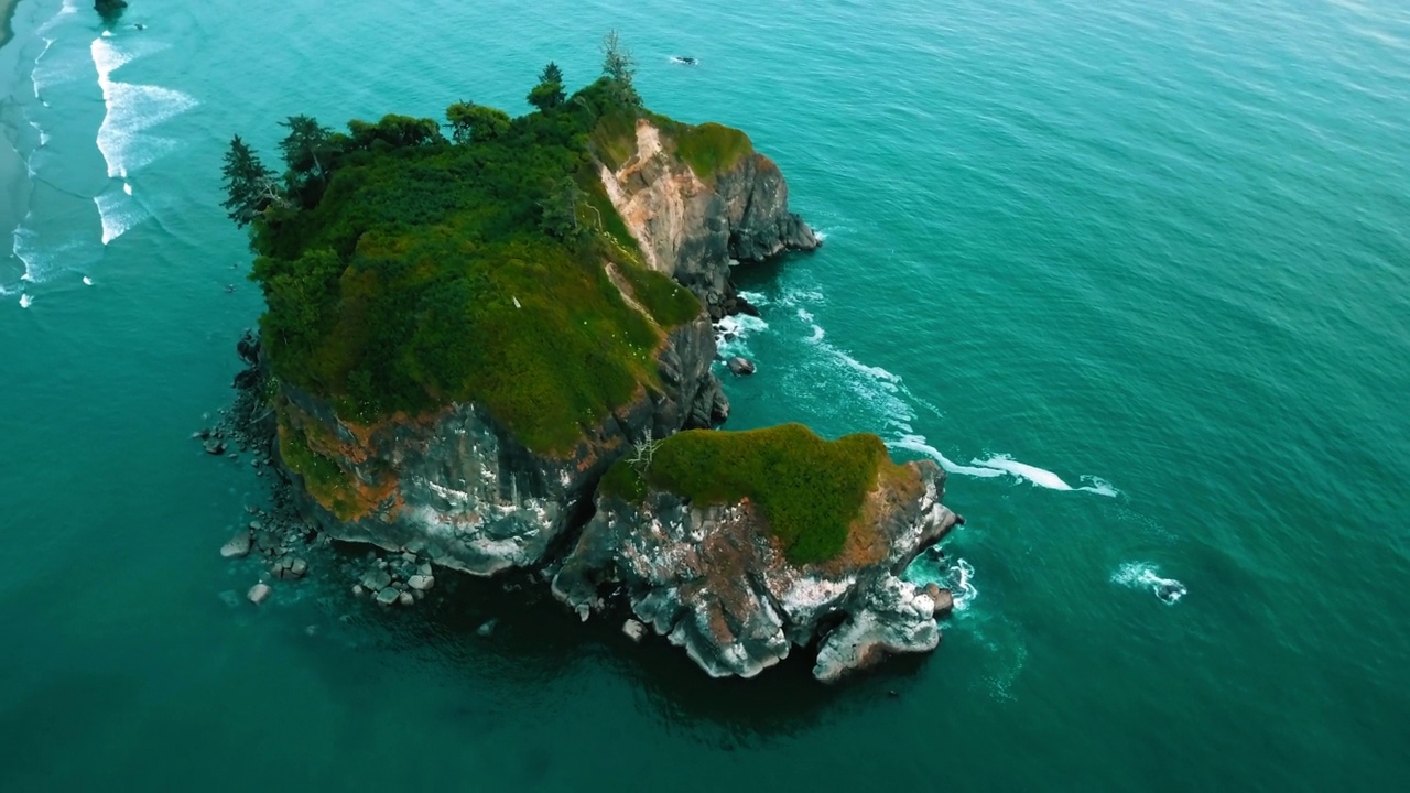 空中向上拍摄的绿色植物在波浪状的海洋岩石上-苏斯瓦夫国家森林，俄勒冈州视频素材