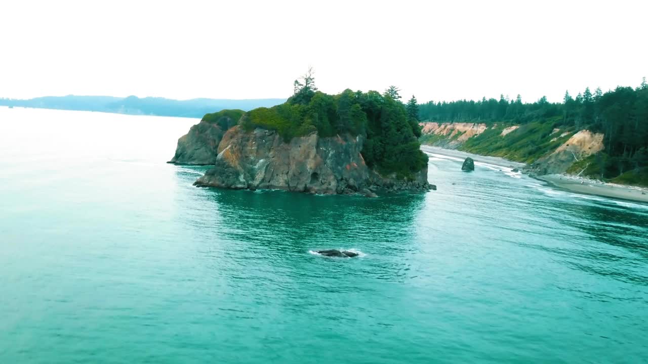 空中拍摄山上森林的美丽景色，无人机向前飞越波涛汹涌的海面——俄勒冈州的Siuslaw国家森林视频素材