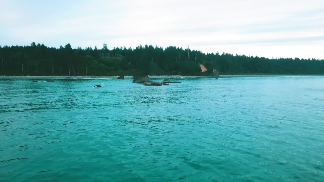 晴空下森林树木的空中风景，无人机向前飞越波涛汹涌的海面-苏斯瓦夫国家森林，俄勒冈州视频素材