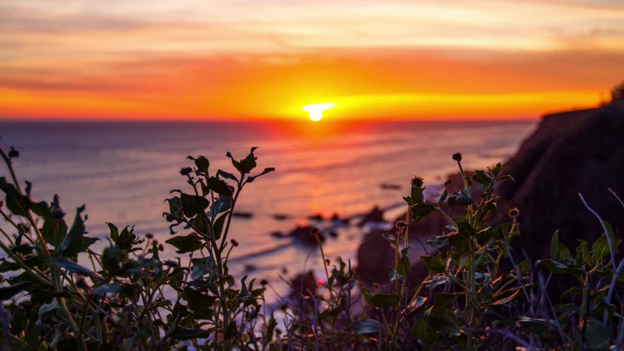 封锁日落到夜晚的时间推移拍摄的植物与日落在橙色天空的风景-洛杉矶，加利福尼亚州视频素材