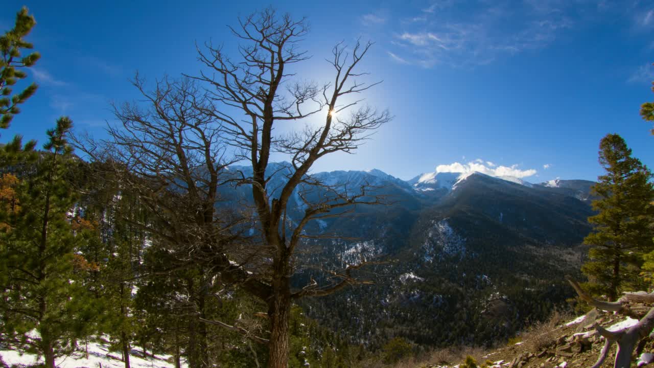 在多云天空下雪山上森林树木的时间推移锁定生长-科罗拉多斯普林斯，科罗拉多州视频素材