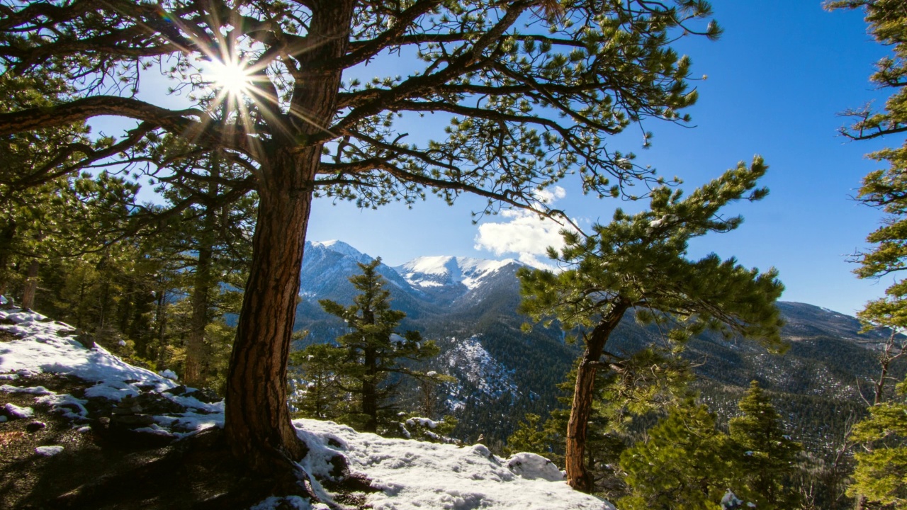 在阳光明媚的日子里，积雪覆盖的山脉的宁静景色-科罗拉多斯普林斯，科罗拉多州视频素材