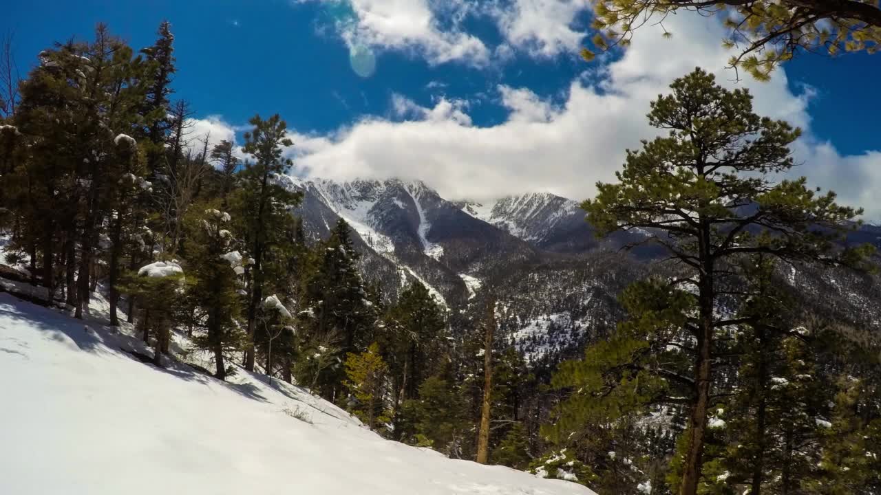 阳光明媚的日子里雪山上树木生长的封锁时间推移-科罗拉多斯普林斯，科罗拉多州视频素材