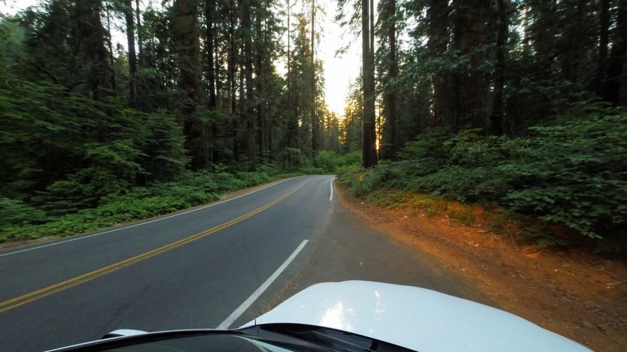 汽车在森林道路上移动的时间间隔镜头在绿色的树木-约塞米蒂，加利福尼亚州视频素材