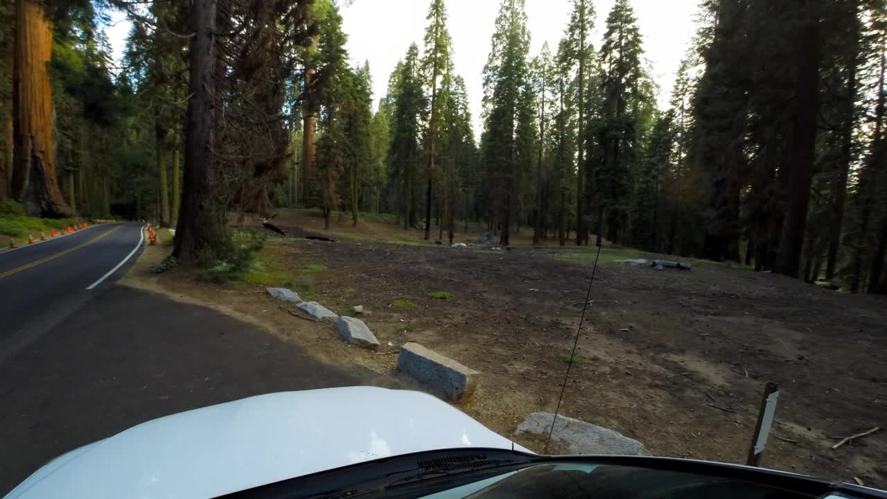 汽车在森林道路上移动的平移时间镜头-约塞米蒂，加利福尼亚州视频素材