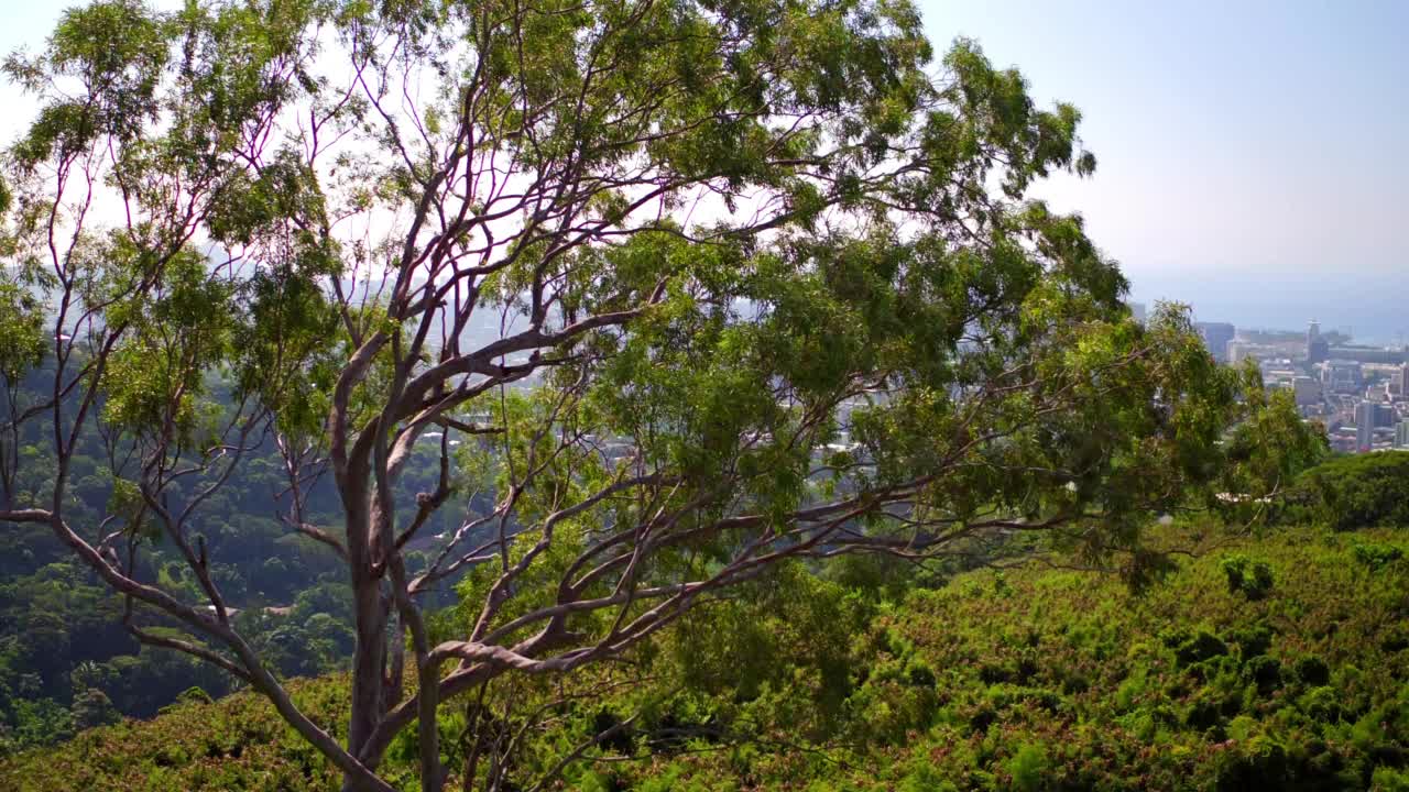 城市现代建筑的鸟瞰图，无人机在阳光明媚的日子飞越山脉-夏威夷瓦胡岛视频素材