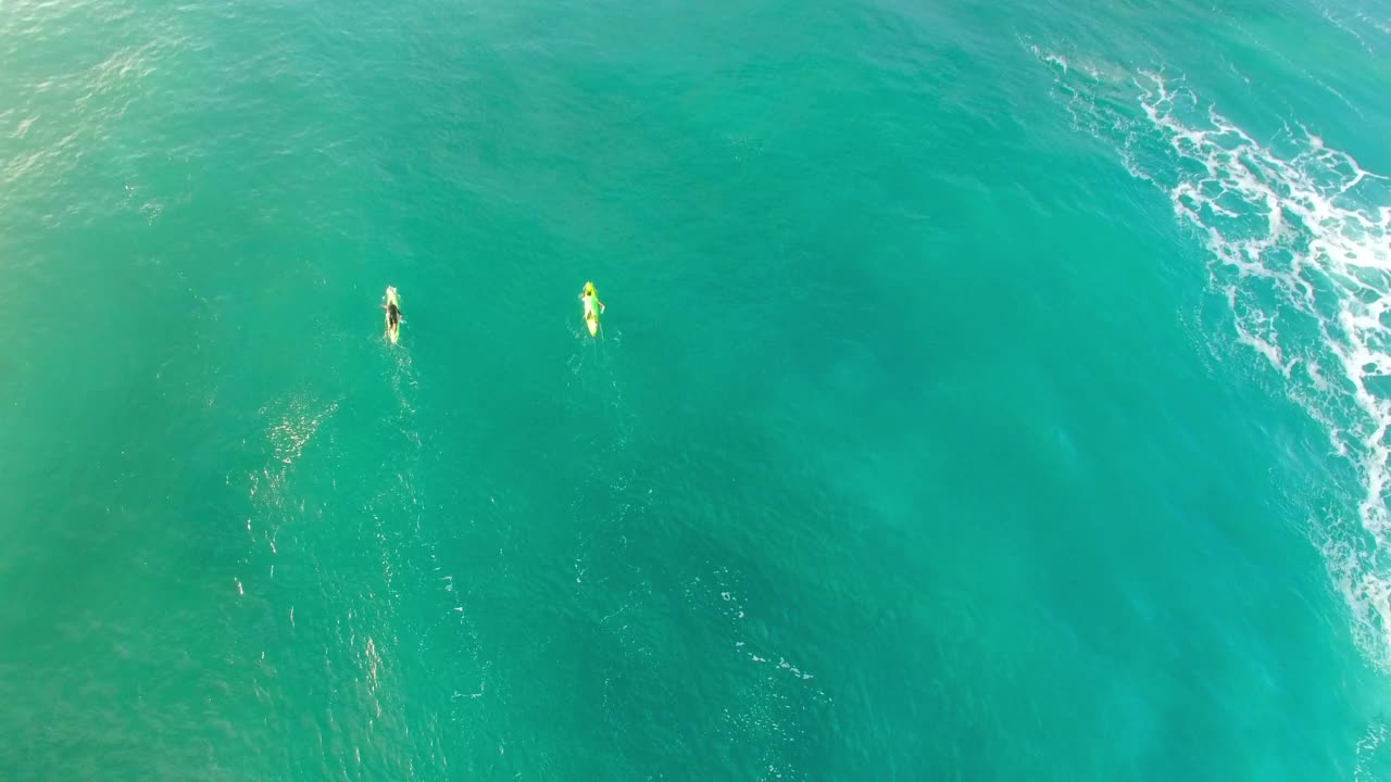 空中倾斜拍摄的人们在蓝绿色的大海上冲浪板游泳-夏威夷瓦胡岛视频素材