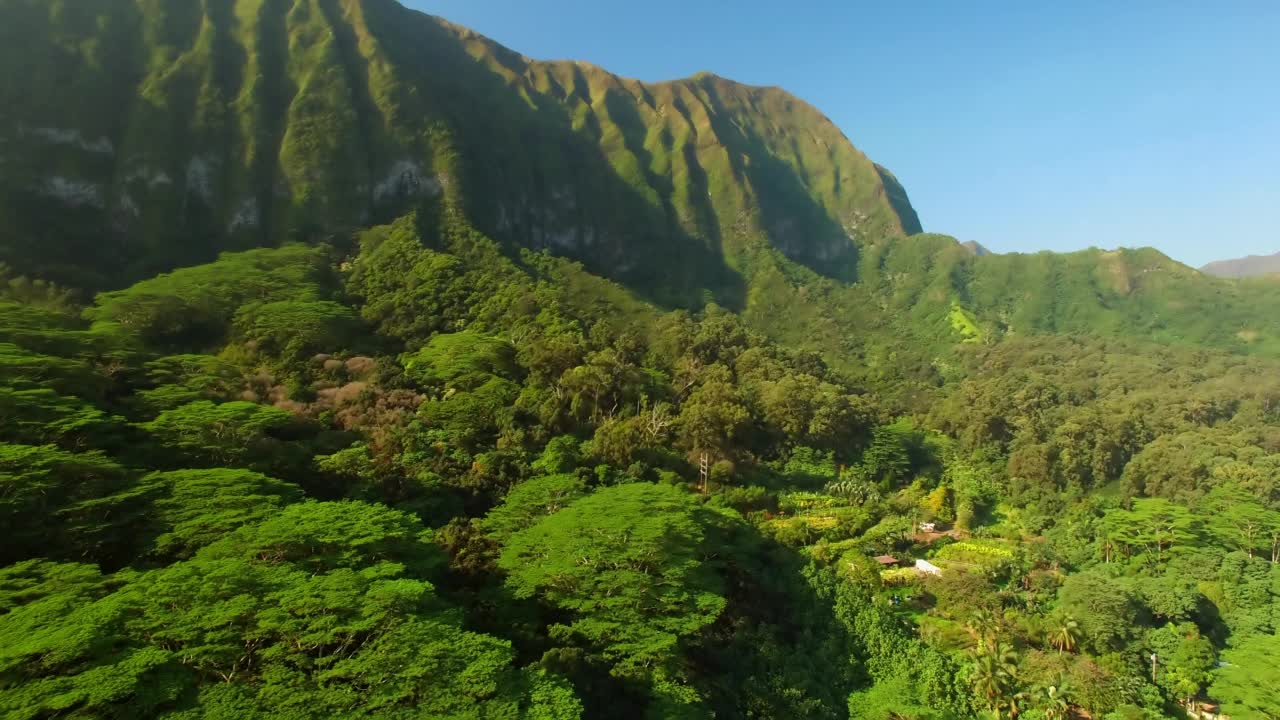 空中拍摄的风景拍摄的绿色瓦胡山在晴天视频素材