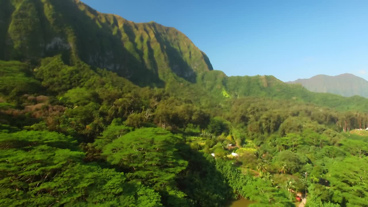 空中:空中风景拍摄的青山在晴朗的天空下，无人机向后飞过绿色的树木-瓦胡岛，夏威夷视频素材