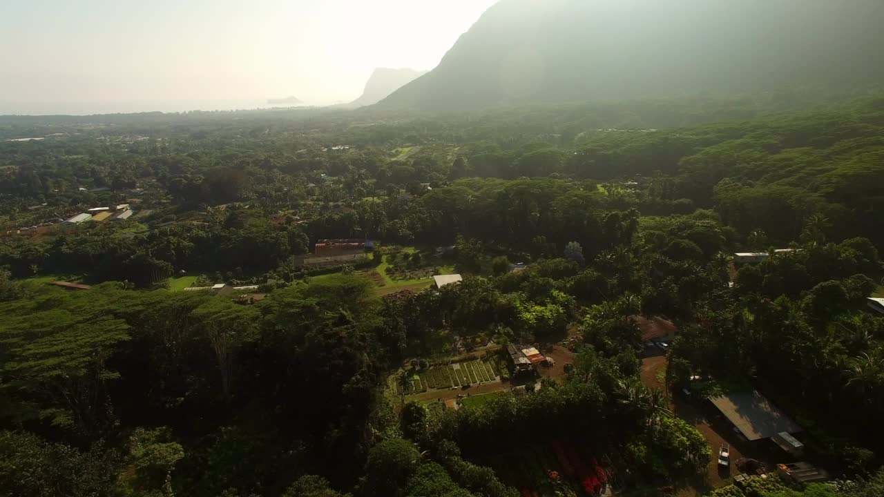 空中:空中向前的宁静岛屿的美丽景色，无人机在阳光灿烂的日子向前飞行-夏威夷瓦胡岛视频素材