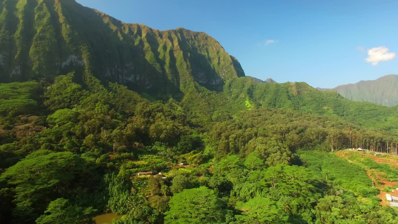 空中:绿色岩层的空中美景，无人机在风景上的树木上向前飞行-瓦胡岛，夏威夷视频素材