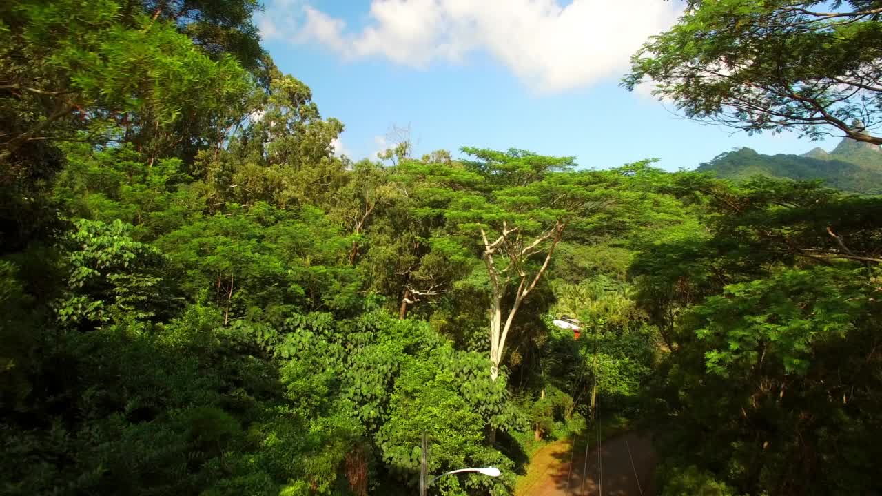 航拍:航拍欧胡岛的绿色森林，无人机在晴天向前飞行视频素材