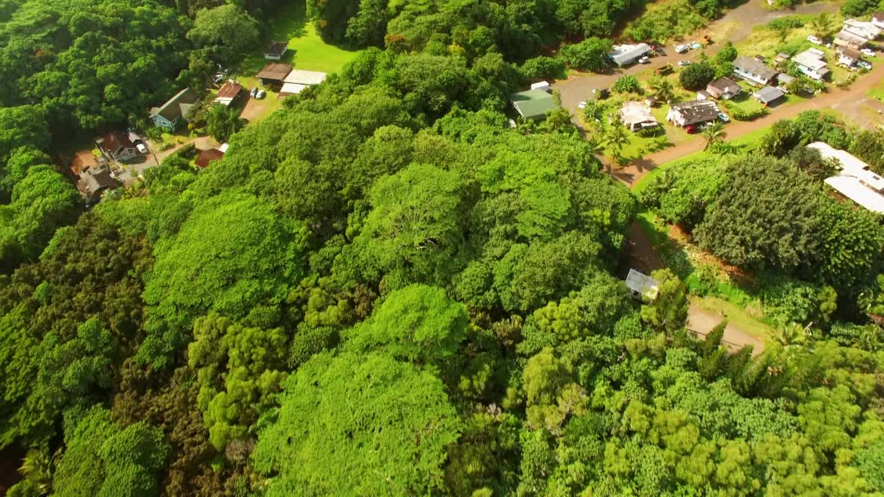 空中:空中倾斜绿色岩层的美丽景色，无人机在阳光灿烂的日子飞越森林——夏威夷瓦胡岛视频素材