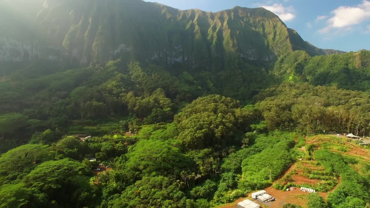 空中倾斜拍摄的房屋和瓦胡岛的绿色树木视频素材