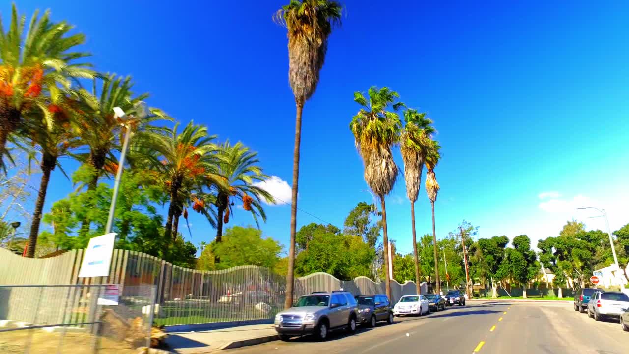 阳光明媚的日子里，汽车在城市道路上行驶——加利福尼亚州洛杉矶视频素材