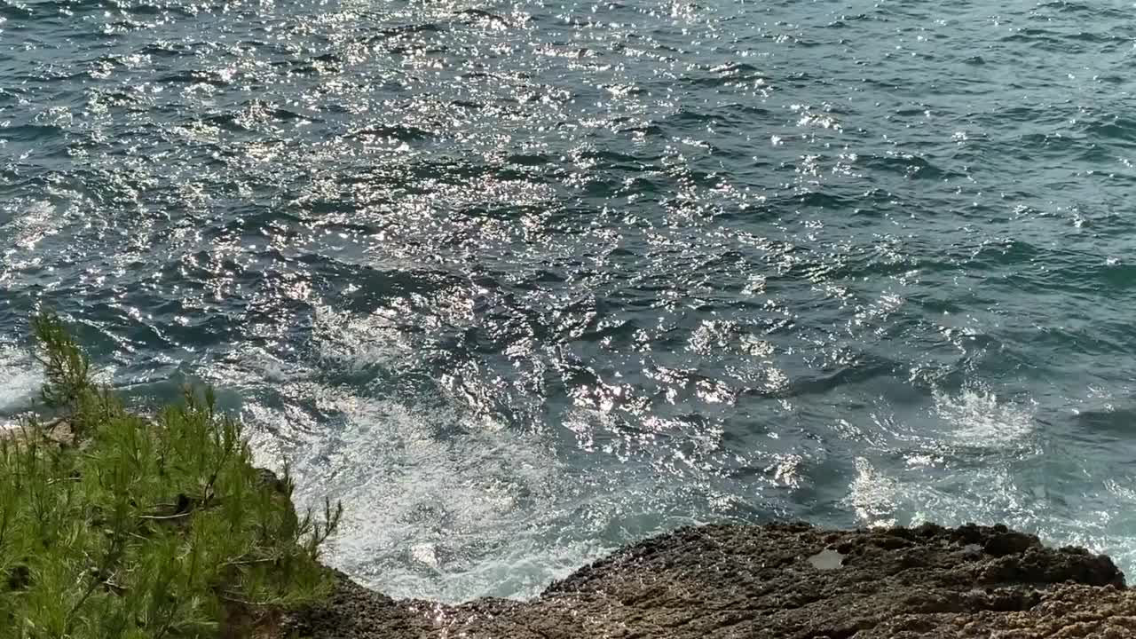 闪闪发光的海浪冲刷着长满松树的岩石海岸。视频素材