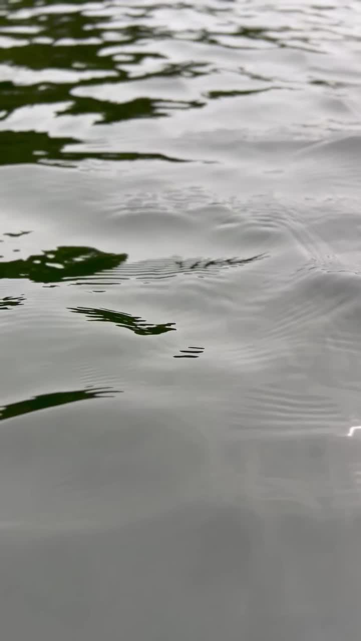 湖水流动视频素材