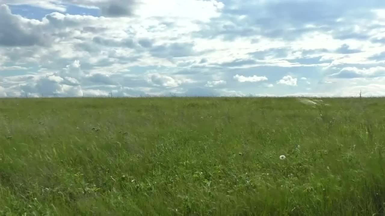 绿色的田野一直延伸到地平线视频素材