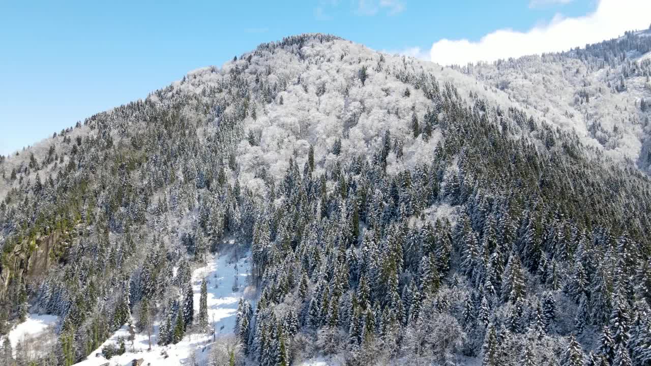 雪山和森林视频素材