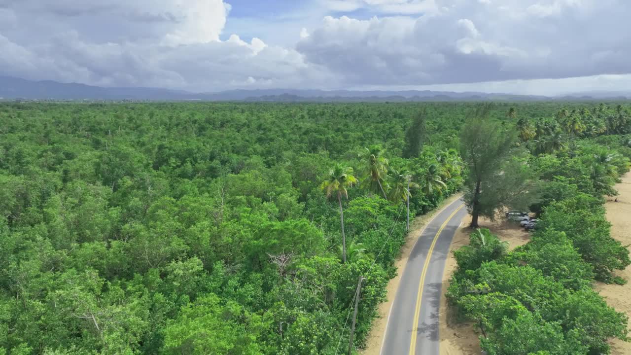 海滩的鸟瞰图，背景是棕榈树视频素材