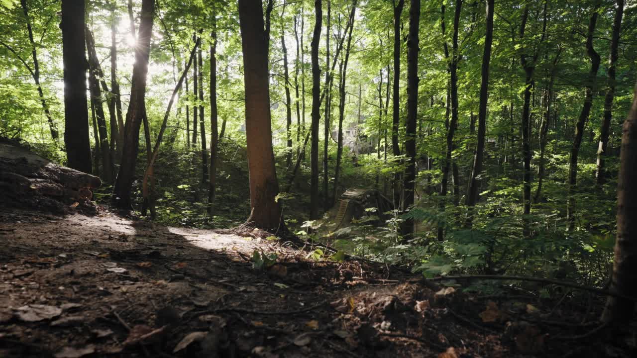 一位专业极限自行车手骑着山地车加速，越过森林中的障碍和小山。骑自行车的人在高跳板上跳跃视频素材