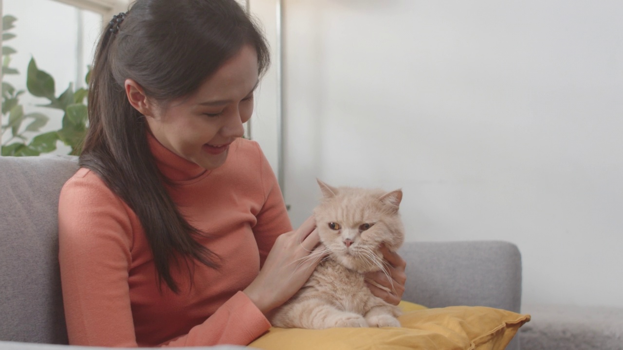 迷人的年轻亚洲女子抱着和抚摸着可爱的猫，坐在家里的沙发上。视频素材