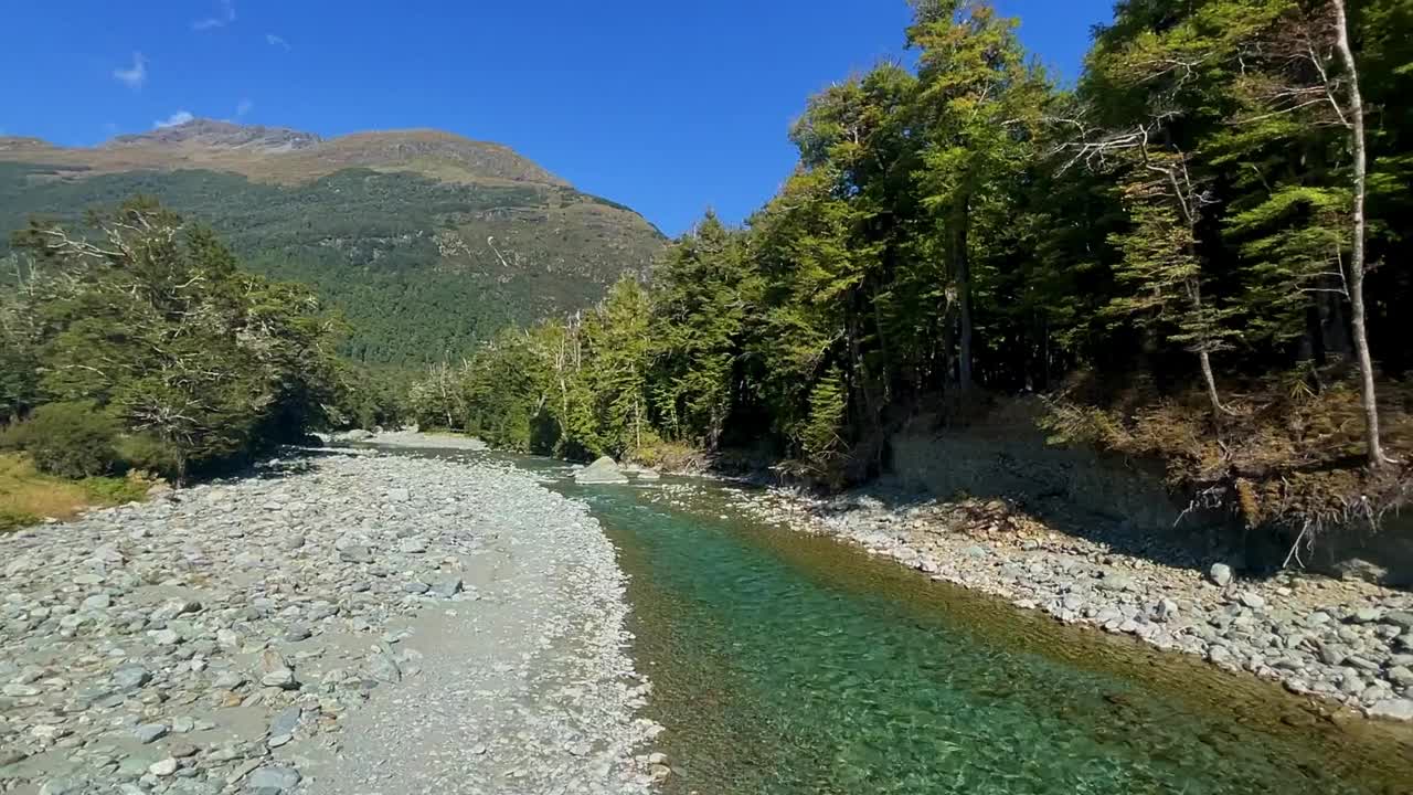 阿斯万山国家公园的森林湖视频下载