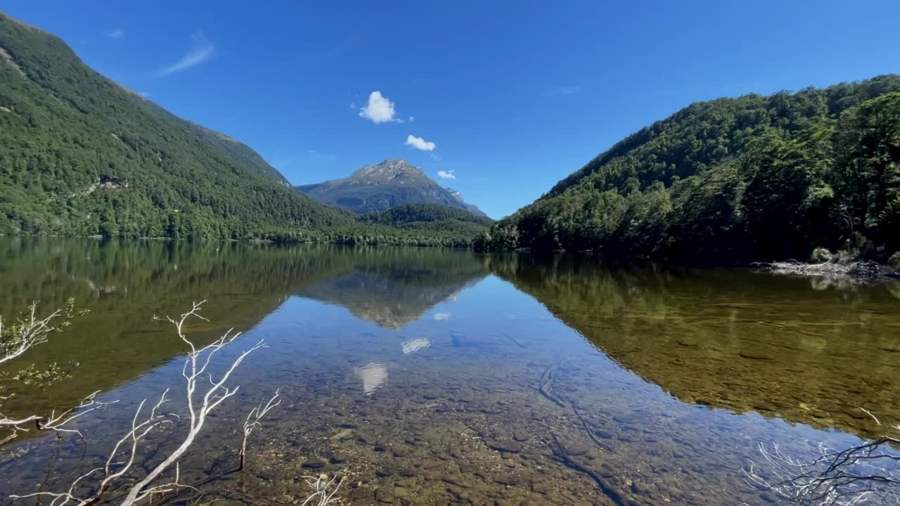 阿斯万山国家公园的森林湖视频素材