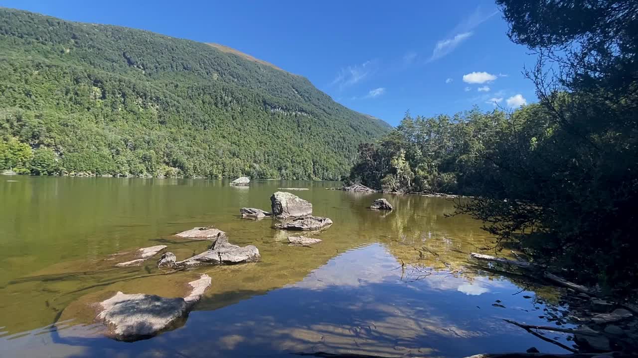 阿斯万山国家公园的森林湖视频下载