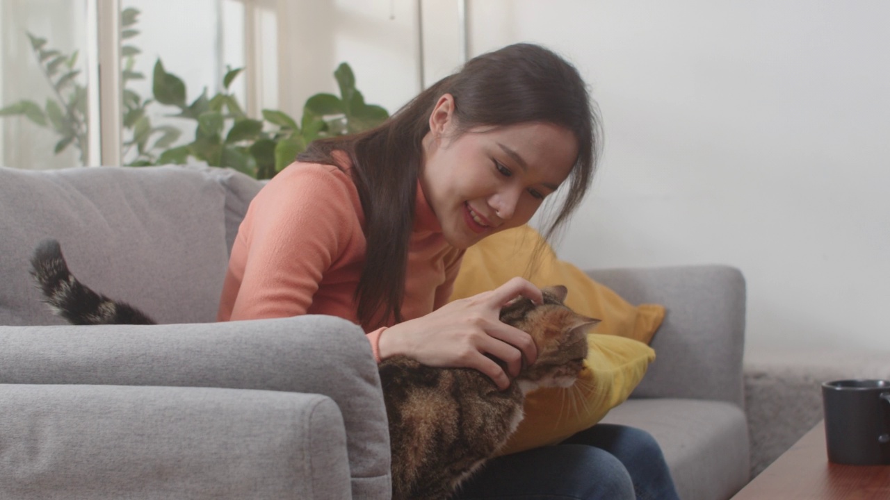 迷人的年轻亚洲女子抱着和抚摸着可爱的猫，坐在家里的沙发上。视频素材