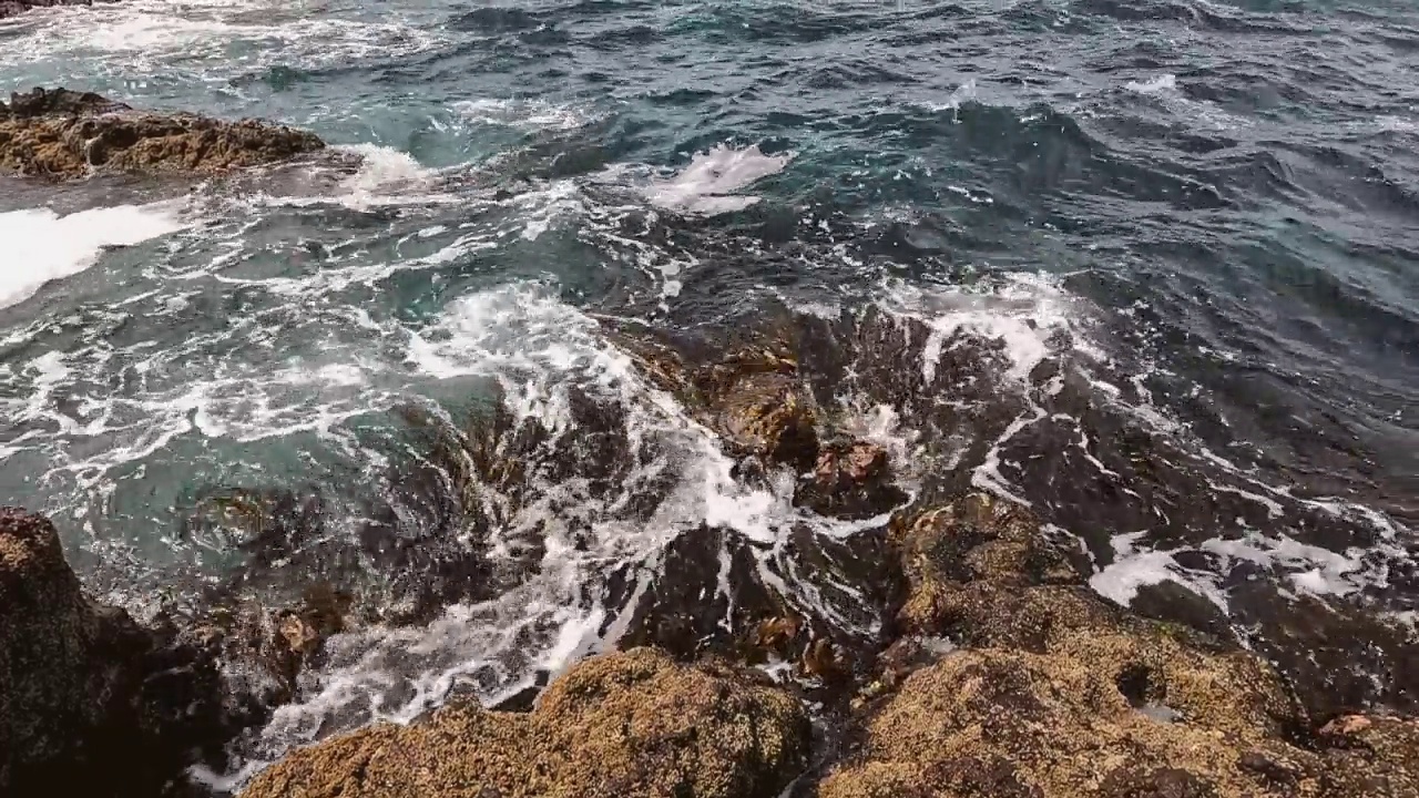 海浪拍打着长满藤壶的岩石视频素材