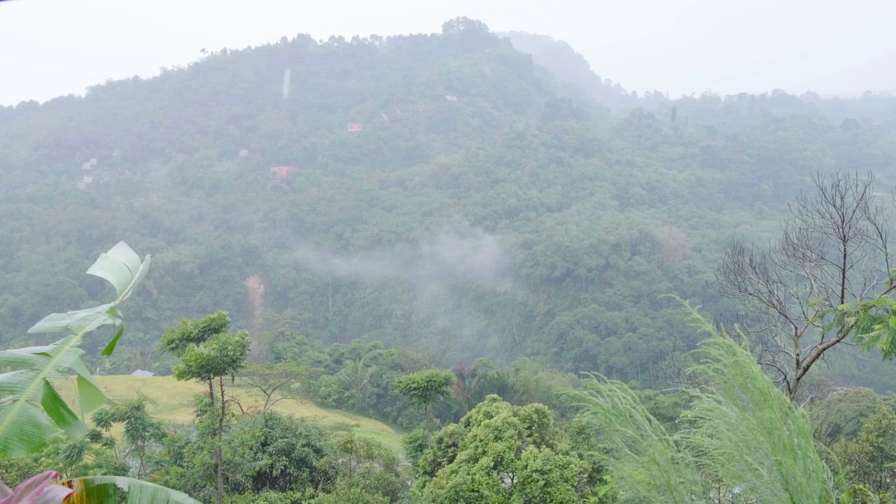 山上的雨视频素材