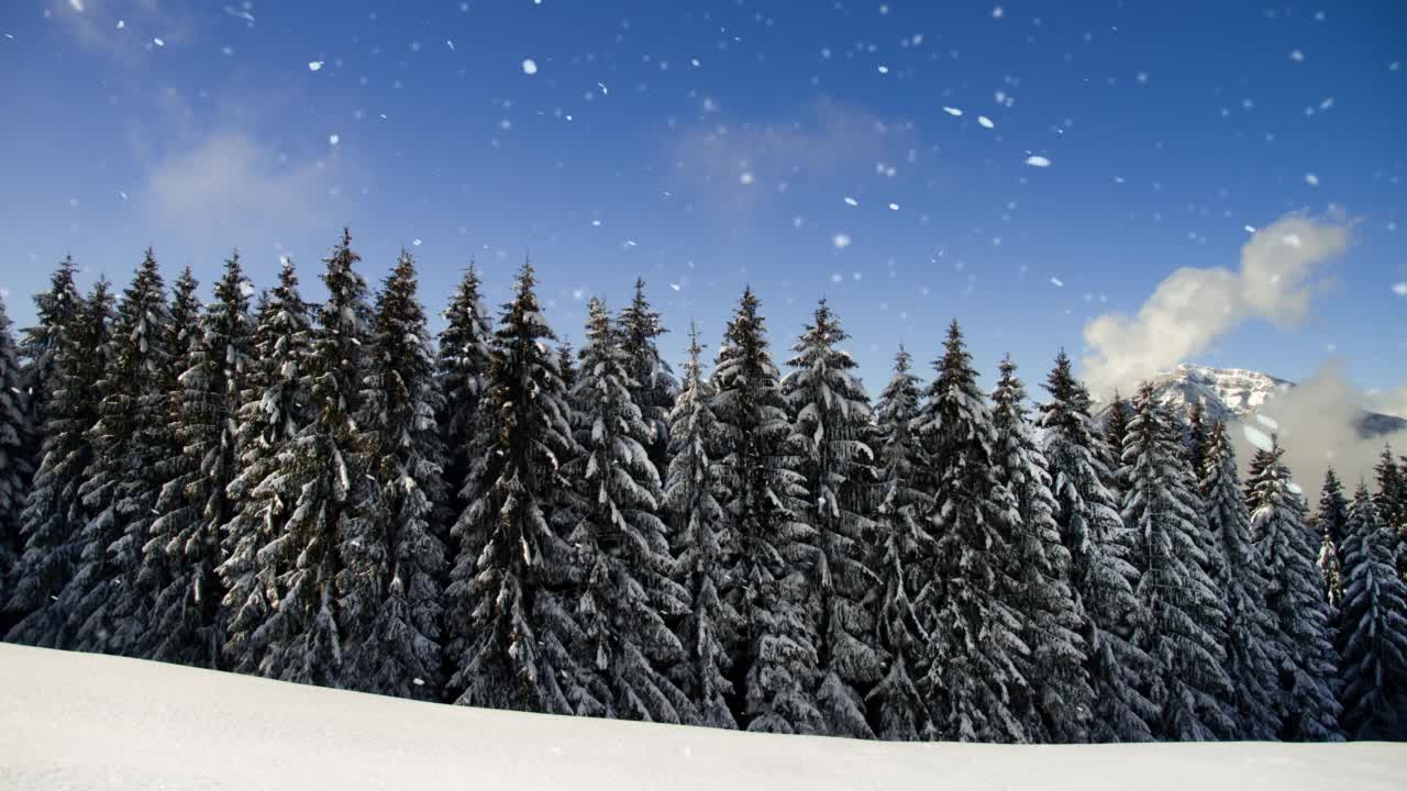 山地森林的降雪-循环视频素材