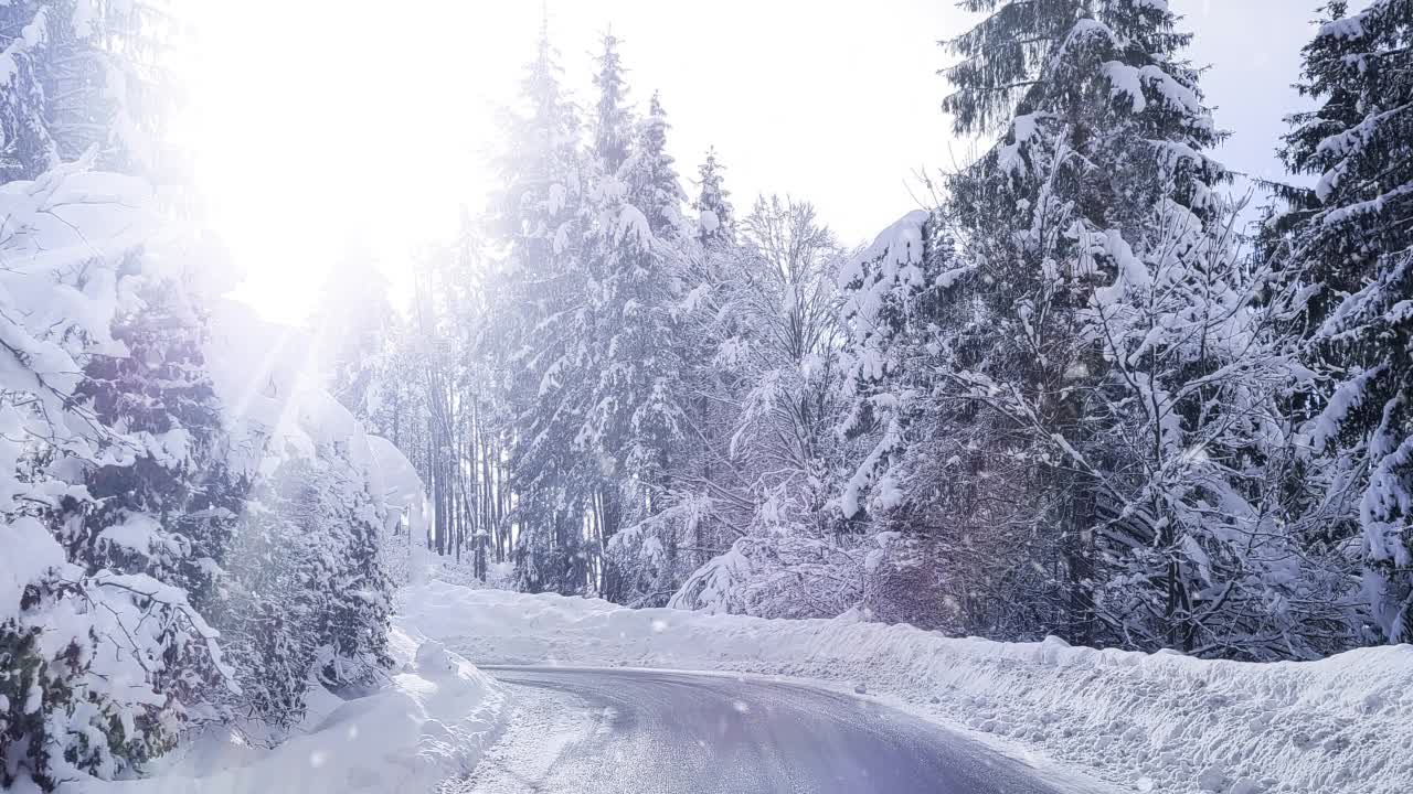 山地森林的降雪-循环视频素材