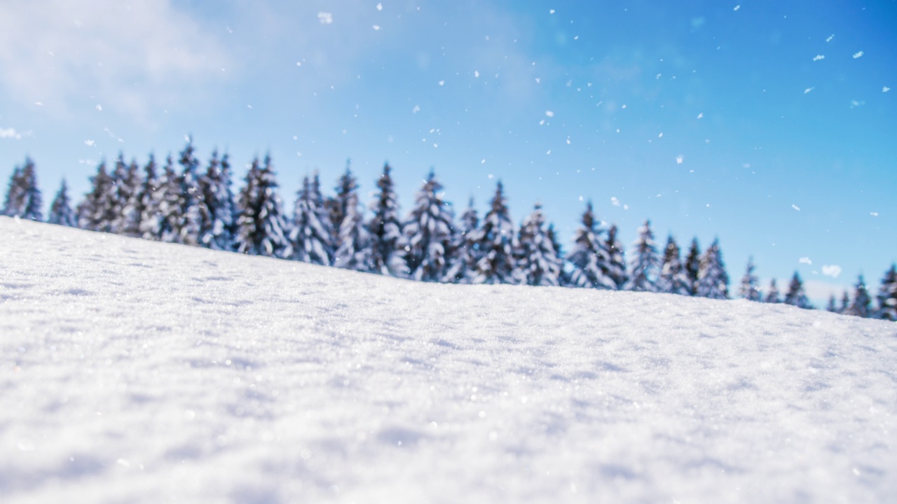 山地森林的降雪-循环视频素材