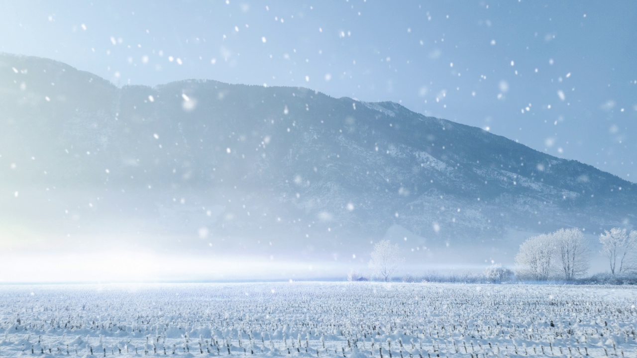 降雪,循环视频素材