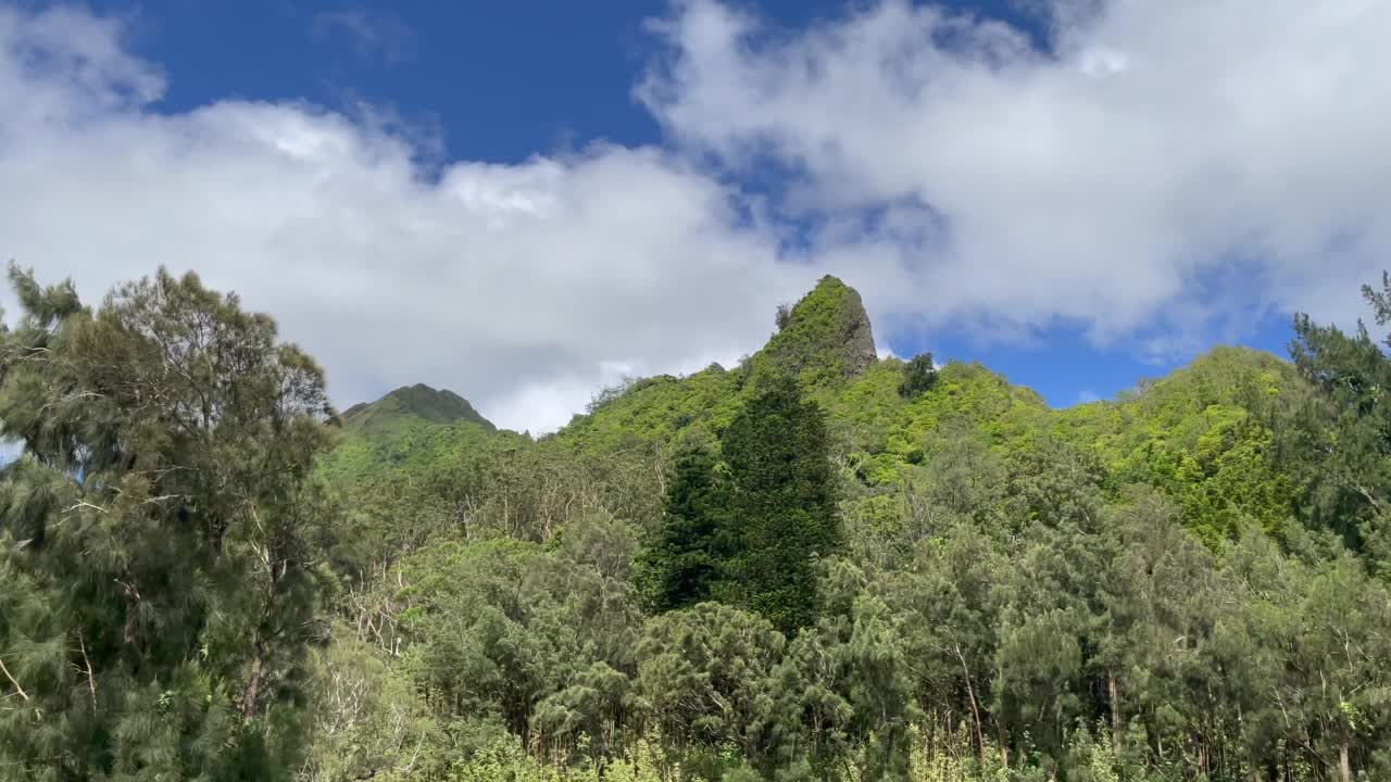 夏威夷瓦胡岛的Nuuanu Pali瞭望台视频素材