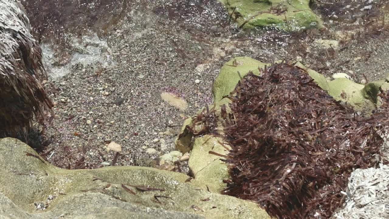 美丽的地中海海滩海景视频素材